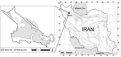 A planted forest in the mountain steppe of Tabriz, Iran: Visitor’s perceptions of Eynali Urban Woodland Park